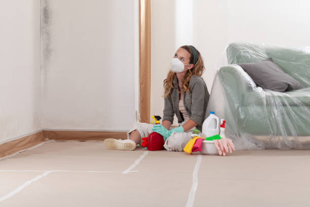 Reliable Mold Remediation contractor in Cold Spring Harbor, NY by WQB Mold Removal